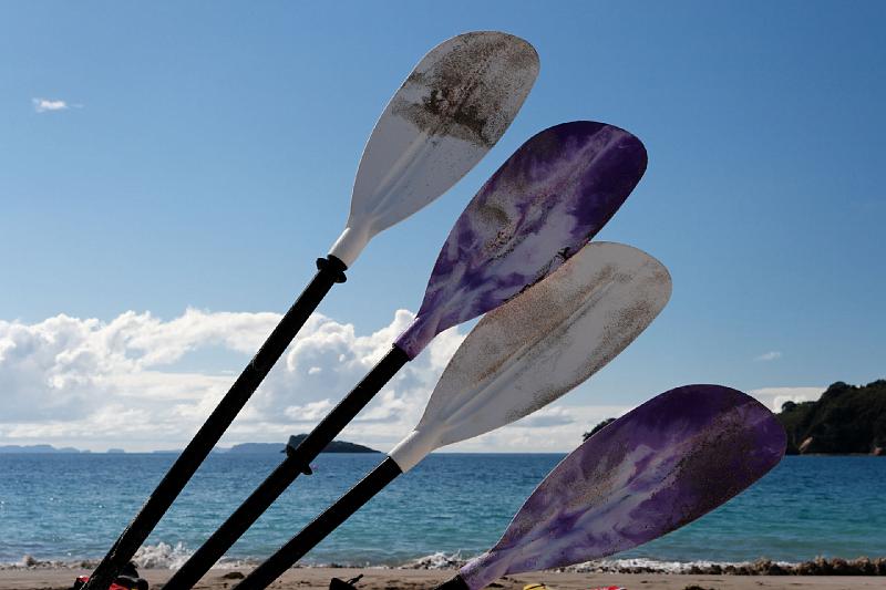 2007 04 24 Coromandel Peninsula 043_DXO.jpg